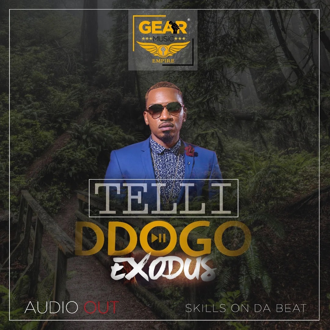 Teli Ddogo